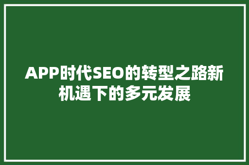 APP时代SEO的转型之路新机遇下的多元发展