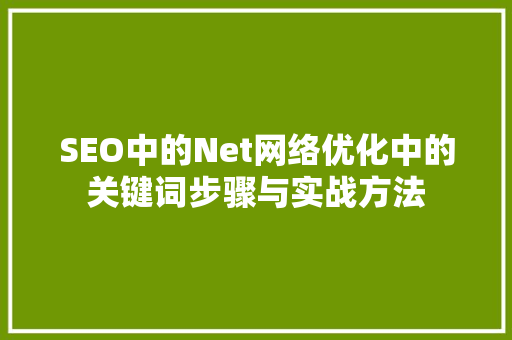 SEO中的Net网络优化中的关键词步骤与实战方法