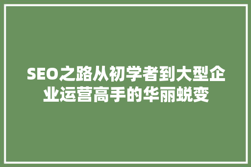 SEO之路从初学者到大型企业运营高手的华丽蜕变