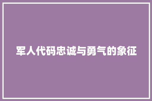 军人代码忠诚与勇气的象征