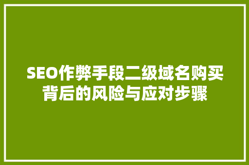 SEO作弊手段二级域名购买背后的风险与应对步骤