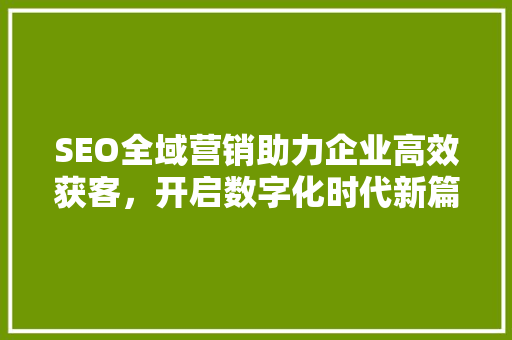 SEO全域营销助力企业高效获客，开启数字化时代新篇章