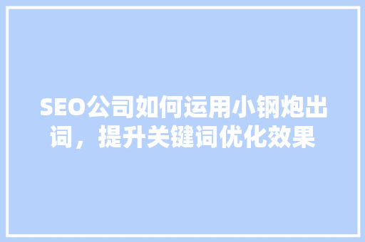 SEO公司如何运用小钢炮出词，提升关键词优化效果
