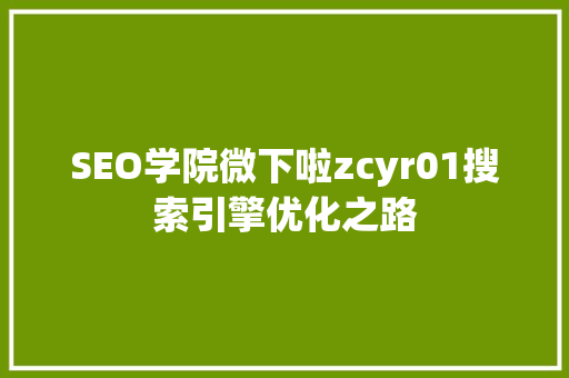 SEO学院微下啦zcyr01搜索引擎优化之路