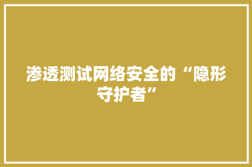 渗透测试网络安全的“隐形守护者”