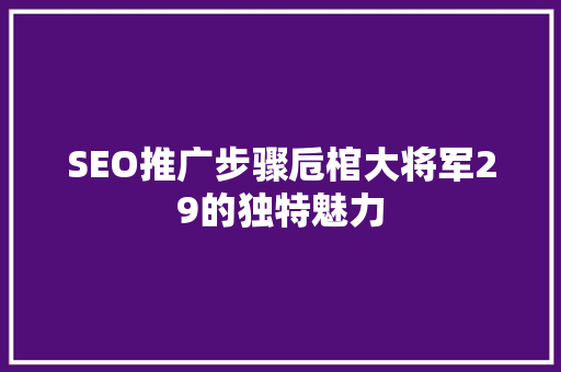 SEO推广步骤卮棺大将军29的独特魅力