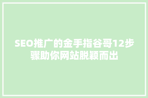 SEO推广的金手指谷哥12步骤助你网站脱颖而出