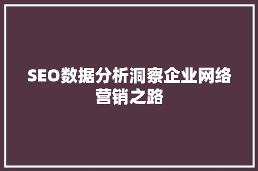 SEO数据分析洞察企业网络营销之路