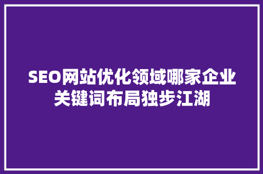 SEO网站优化领域哪家企业关键词布局独步江湖