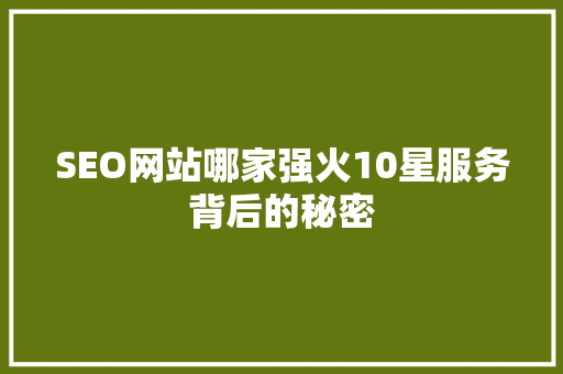 SEO网站哪家强火10星服务背后的秘密