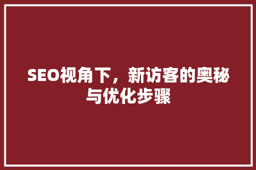SEO视角下，新访客的奥秘与优化步骤