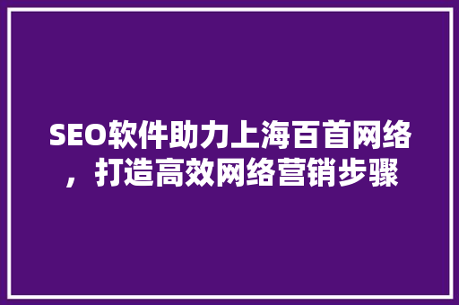 SEO软件助力上海百首网络，打造高效网络营销步骤