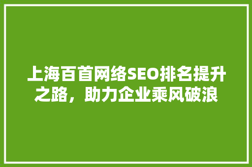 上海百首网络SEO排名提升之路，助力企业乘风破浪