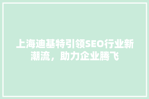 上海迪基特引领SEO行业新潮流，助力企业腾飞