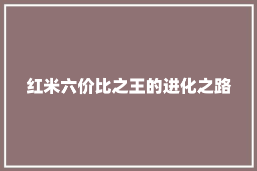 红米六价比之王的进化之路