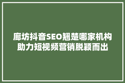廊坊抖音SEO翘楚哪家机构助力短视频营销脱颖而出
