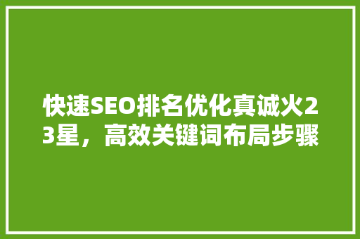 快速SEO排名优化真诚火23星，高效关键词布局步骤