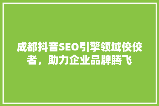成都抖音SEO引擎领域佼佼者，助力企业品牌腾飞