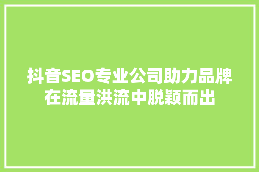 抖音SEO专业公司助力品牌在流量洪流中脱颖而出