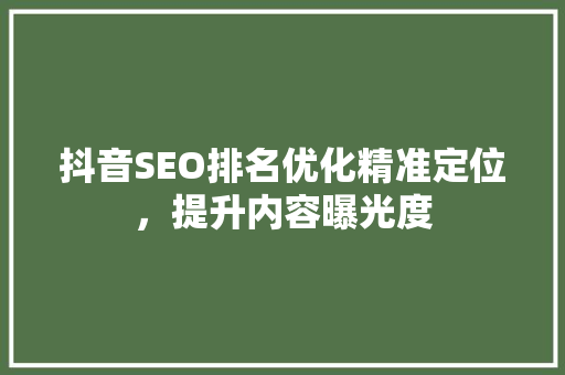 抖音SEO排名优化精准定位，提升内容曝光度