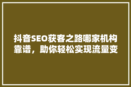 抖音SEO获客之路哪家机构靠谱，助你轻松实现流量变现