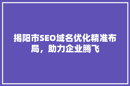 揭阳市SEO域名优化精准布局，助力企业腾飞