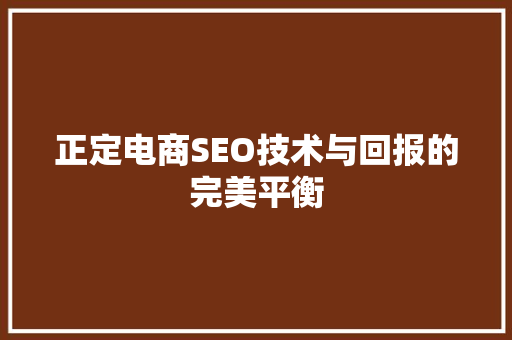 正定电商SEO技术与回报的完美平衡