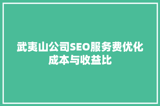 武夷山公司SEO服务费优化成本与收益比