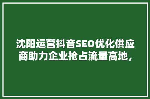 沈阳运营抖音SEO优化供应商助力企业抢占流量高地，实现品牌飞跃