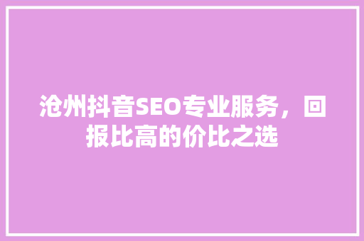 沧州抖音SEO专业服务，回报比高的价比之选