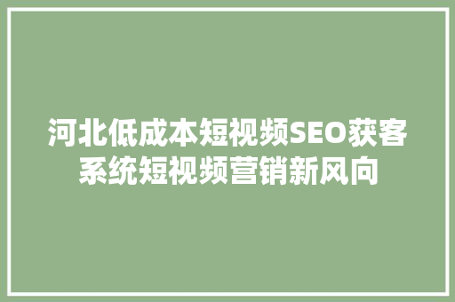 河北低成本短视频SEO获客系统短视频营销新风向