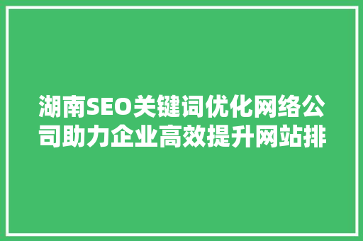 湖南SEO关键词优化网络公司助力企业高效提升网站排名