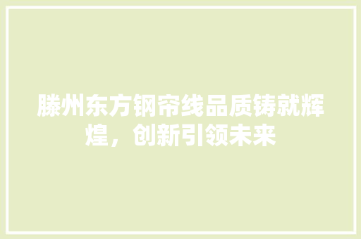 滕州东方钢帘线品质铸就辉煌，创新引领未来