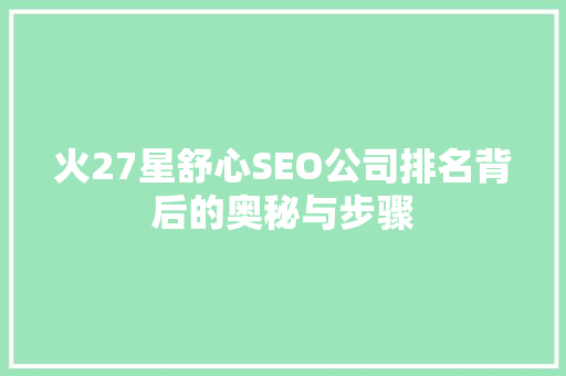 火27星舒心SEO公司排名背后的奥秘与步骤