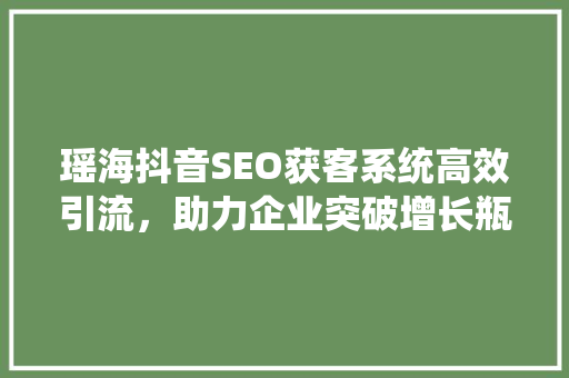 瑶海抖音SEO获客系统高效引流，助力企业突破增长瓶颈