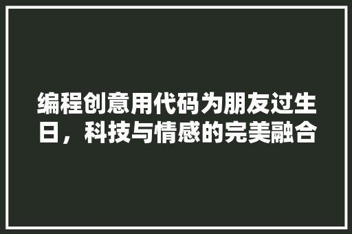 编程创意用代码为朋友过生日，科技与情感的完美融合