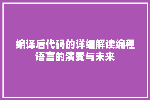 编译后代码的详细解读编程语言的演变与未来