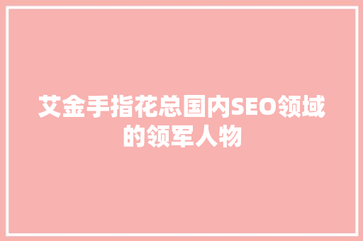 艾金手指花总国内SEO领域的领军人物