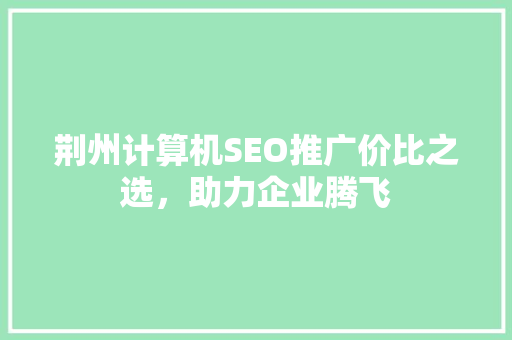 荆州计算机SEO推广价比之选，助力企业腾飞