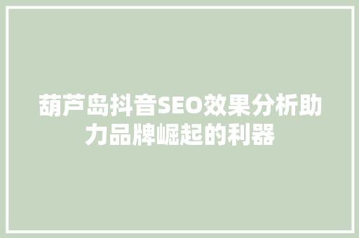 葫芦岛抖音SEO效果分析助力品牌崛起的利器