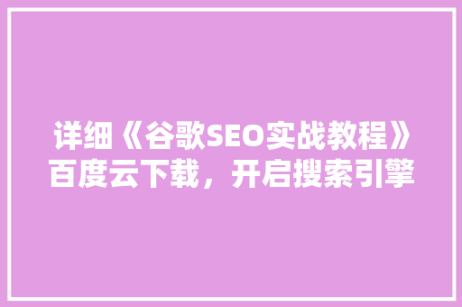 详细《谷歌SEO实战教程》百度云下载，开启搜索引擎优化之旅