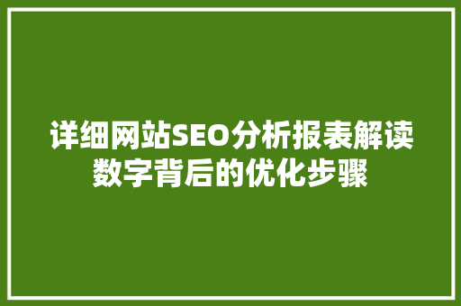 详细网站SEO分析报表解读数字背后的优化步骤