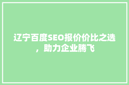 辽宁百度SEO报价价比之选，助力企业腾飞