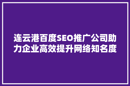 连云港百度SEO推广公司助力企业高效提升网络知名度
