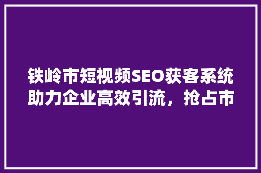 铁岭市短视频SEO获客系统助力企业高效引流，抢占市场先机