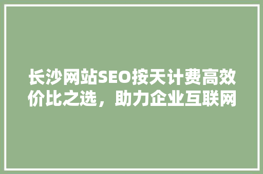 长沙网站SEO按天计费高效价比之选，助力企业互联网营销