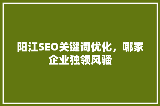 阳江SEO关键词优化，哪家企业独领风骚