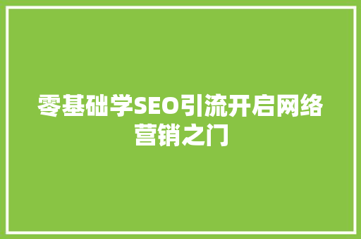零基础学SEO引流开启网络营销之门