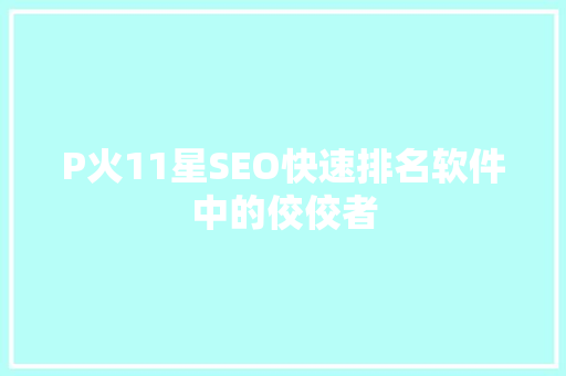 P火11星SEO快速排名软件中的佼佼者