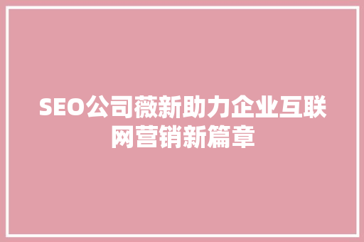 SEO公司薇新助力企业互联网营销新篇章